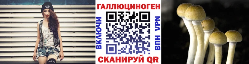 Галлюциногенные грибы Magic Shrooms  наркотики  Горнозаводск 