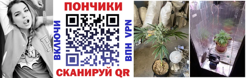 закладки  Горнозаводск  Бошки Шишки план 